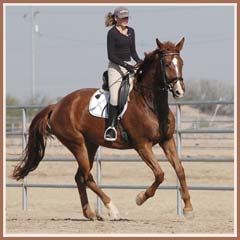 Madira, ridden by Kailee Surplus, January 2008